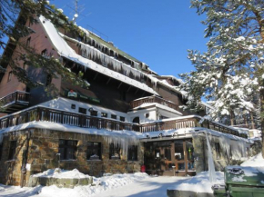 Гостиница Penzion Sykovec  Тржи Студне 